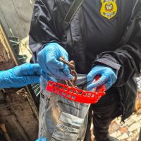 Vítima do PGC encontrada em mangue foi estrangulada com corrente