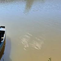 Corpo é encontrado boiando no Itajaí-mirim