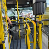 Nova linha de ônibus reduz em até 20 minutos o trajeto no Santa Regina