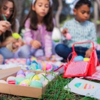 Parque Dom Bosco terá caça aos ovos; saiba como participar