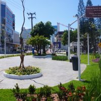 BC finaliza revitalização da avenida do Estado Dalmo Vieira