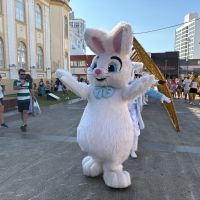 Desfiles e eventos de Páscoa rolam em Itajaí, Itapema e BC