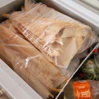 Brasil proíbe exportação de barbatanas de tubarão-azul