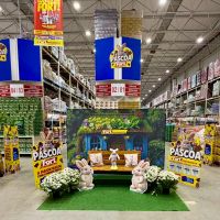 Coelhinho da Páscoa vai visitar lojas do Fort em Santa Catarina