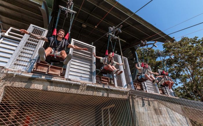 Projeto oferece aula de campo interativa no meio da Mata Atlântica
