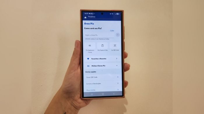 Downdetector registrou alta no volume de notificações sobre o serviço (Foto: Camila Diel)