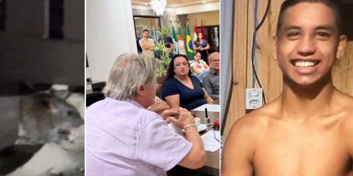 Vídeo de ratos na Brava teve mais de 254 mil visualizações (Foto: Reprodução)