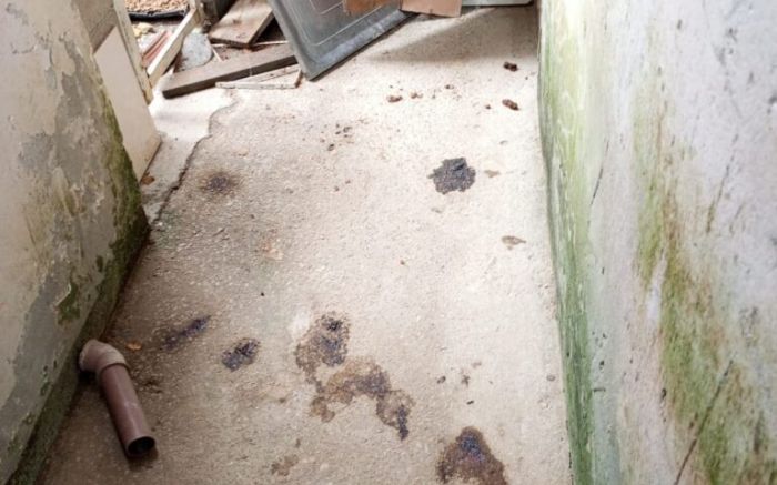 O local onde os animais era insalubre (Foto: Divulgação/PCSC)