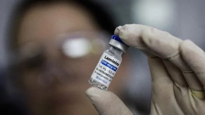 Polilaminina é estudada para tratar lesão medular, mas resultados ainda são iniciais (Foto/Divulgação)