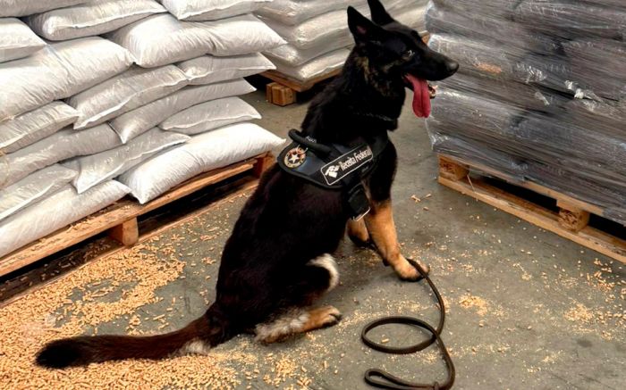 Cocaína estava dentro de contêiner (Foto: Divulgação/DRFSC)