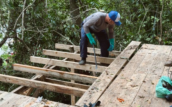 Casal com pitbull erguia moradia em área protegida; operação durou dois dias
