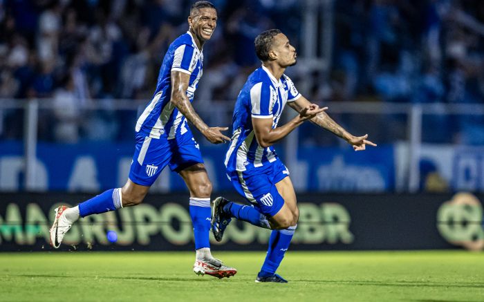 Com orçamento reduzido, Avaí tem o objetivo de se manter na Série B neste ano (Foto: Fabiano Rateke/Avaí)