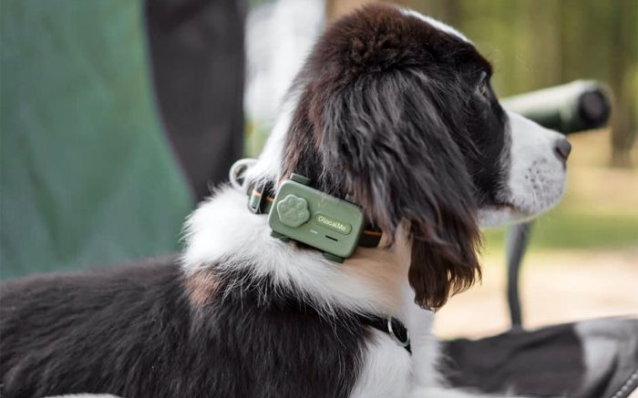 Dispositivo permite comunicação e acompanhamento em tempo real