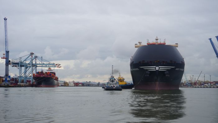 Empresa deveria ter iniciado o trabalho na última segunda-feira (Foto: Arquivo/João Batista)