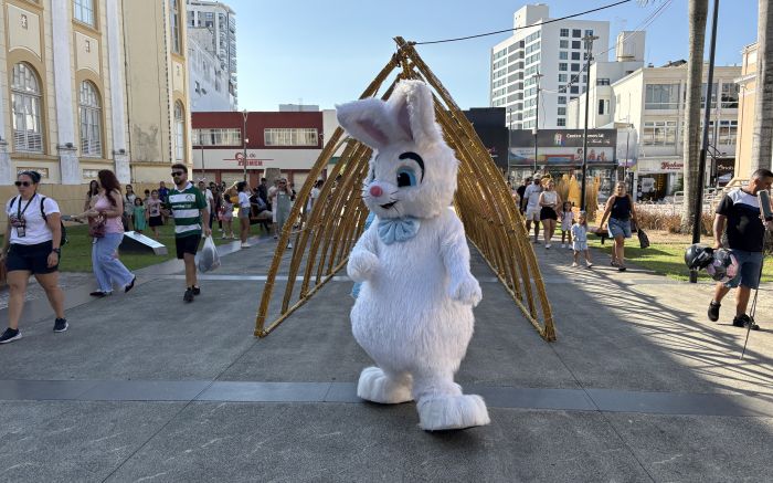 Evento gratuito leva música, dança e personagens para o centro de Itajaí (Foto: Divulgação)