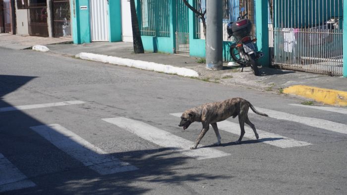 Credenciamento foi aberto pelo Inis nesta semana (Foto: João Batista)