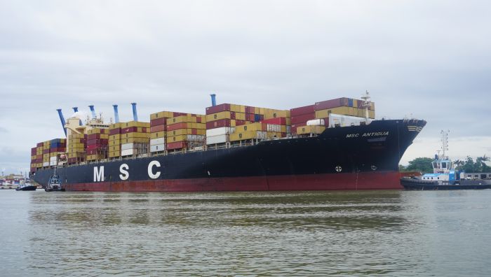 Contrato de 12 meses será entre a Codeba e a empresa holandesa Van Oord