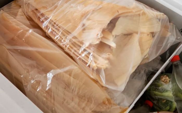 Barbatana é vendida como iguaria pra países asiáticos (Foto: Arquivo/Divulgação/Ibama)