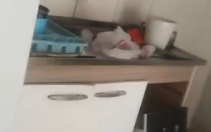 Denúncia foi feita pela proprietária (Foto: Arquivo)