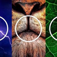 Mercedes-Benz ressignifica seu símbolo em campanha que conecta eletrificação e natureza