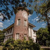 Exposição na Univali revela bastidores da flora catarinense
