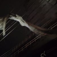 Temporal deixou 50 mil sem luz