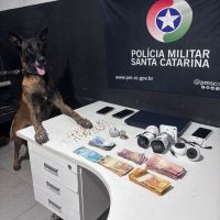 Oito são presos em operação contra tráfico em Itajaí