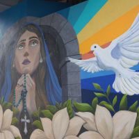 Viaduto do Cristo Luz ganha cara nova com arte urbana