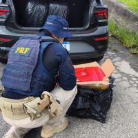 Cheiro denuncia carga de maconha na BR 101