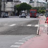 Balneário descumpre promessa e elimina canteiro de árvore histórica