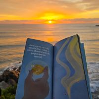 Livro infantil “Plantação de Sol” será lançado nesta sexta em Itajaí