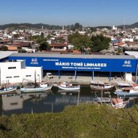 Festival do peixe frito agita Piçarras no domingo