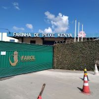 Nauterra compra fábrica de farinha de peixe em Itajaí