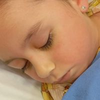 Criança quase morre após ser picada por cobra coral verdadeira