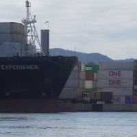 Portonave é o primeiro porto de SC a movimentar 15 milhões de TEUs