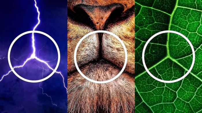 Novidade sinaliza transição da marca para os veículos 100% elétricos