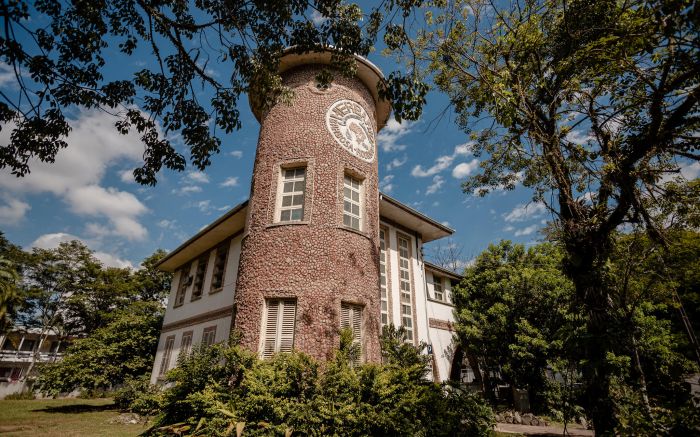 Exposição reúne objetos, imagens e registros históricos da botânica em SC (Foto: Dales Hoeckesfeld)