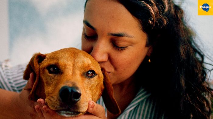 Ferramenta usa inteligência artificial para sugerir o “match” ideal