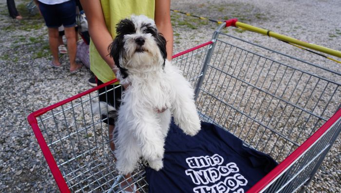 Moradores tiveram dificuldades em descer as escadas e sair do edifício na noite de quarta-feira
