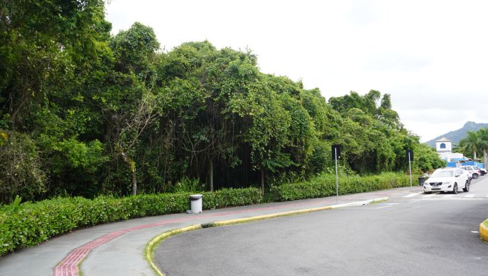 Prefeitura abriu licitação para contratar o serviço