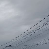 Defesa Civil alerta para risco de chuva e vento forte em Itajaí