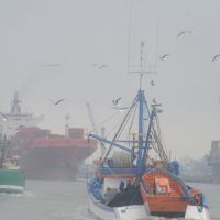 Capitania dos Portos oferece cursos profissionalizantes voltados à Marinha Mercante
