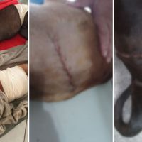 Cães são atacados com golpe de facão por vizinho em Porto Belo