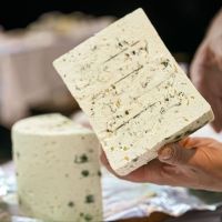 Festival Nacional do Queijo terá feira inédita de tecnologia em Blumenau