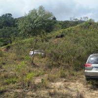 PM recupera nove carros furtados de revenda em Camboriú