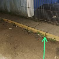 Escola da Praia Brava sofre com enchentes há décadas
