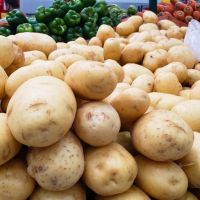 Cesta básica aumenta em Itajaí