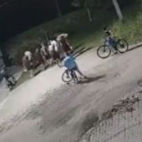 Crianças e adolescentes são filmados sozinhos à noite em Balneário Piçarras