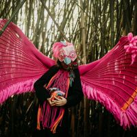Bonencontro traz teatro de bonecos gratuito para Itajaí