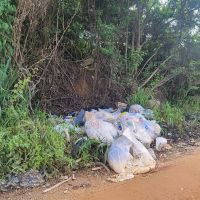 Marginal entre Piçarras e Barra Velha vira cenário de filme de terror